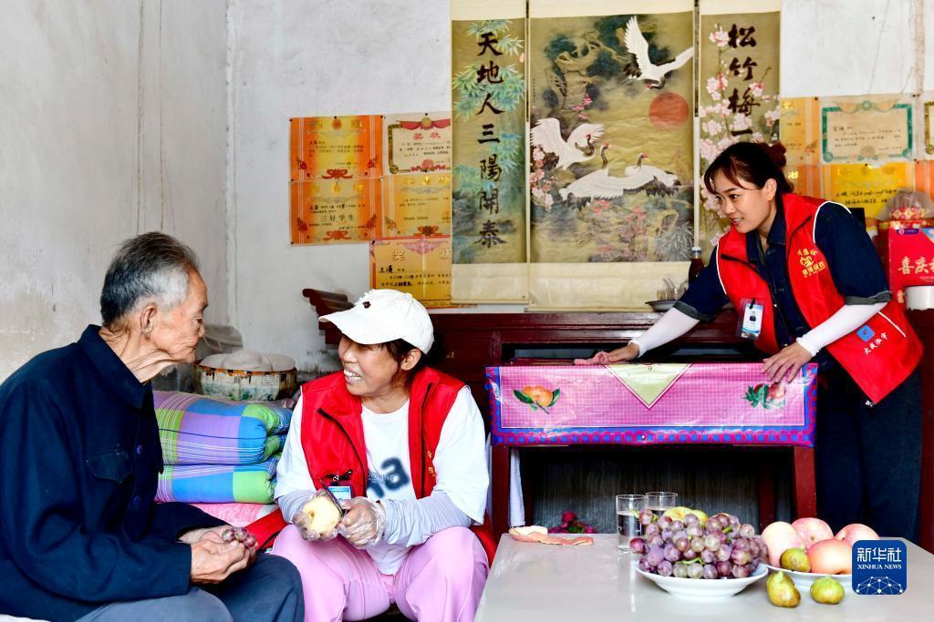 双色球走势图带连线